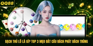 Bạch Thủ Lô Là Gì? Top 3 Mẹo Bắt Cầu Bách Phát Bách Trúng